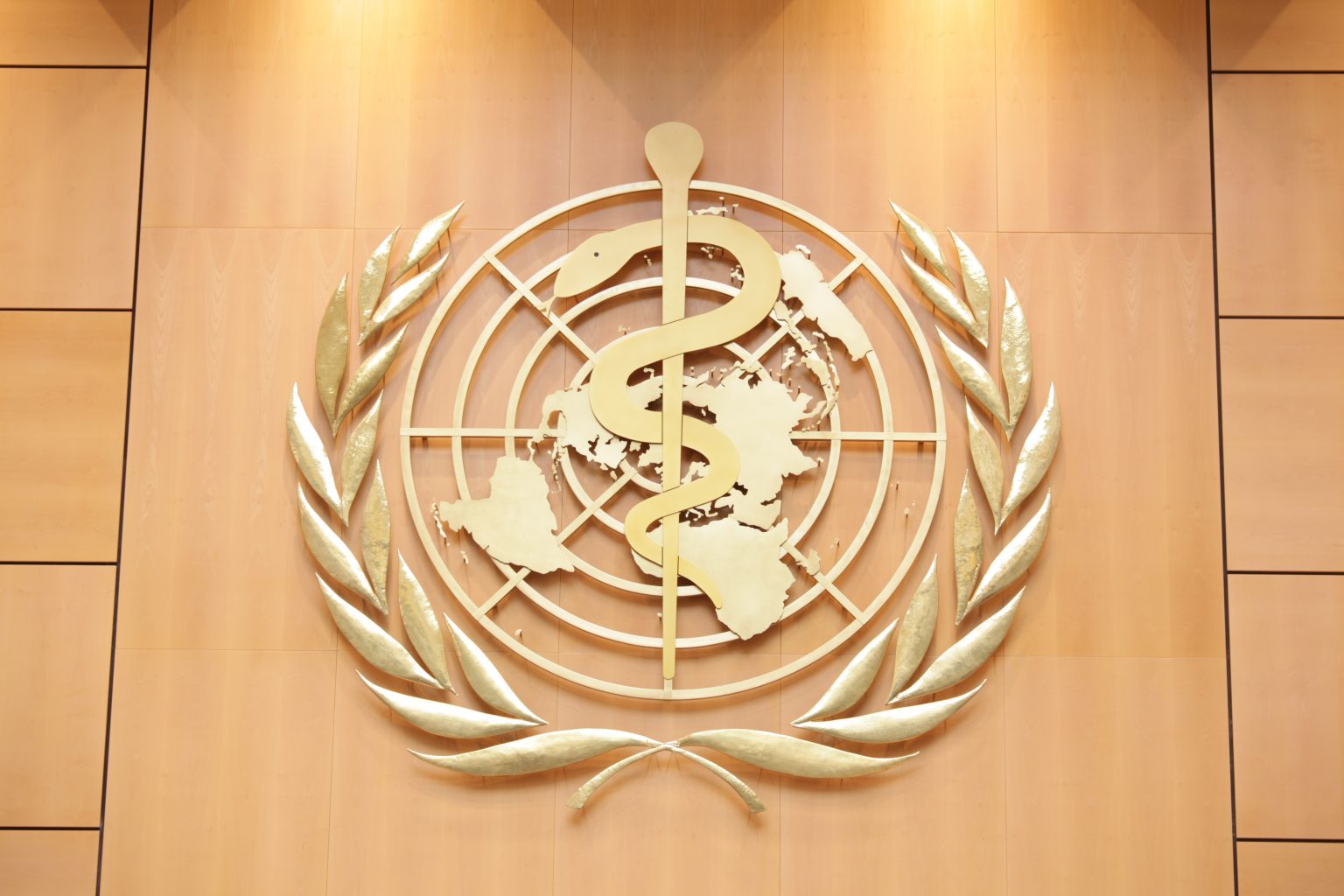 anti tobacco conference at the World Health Organization