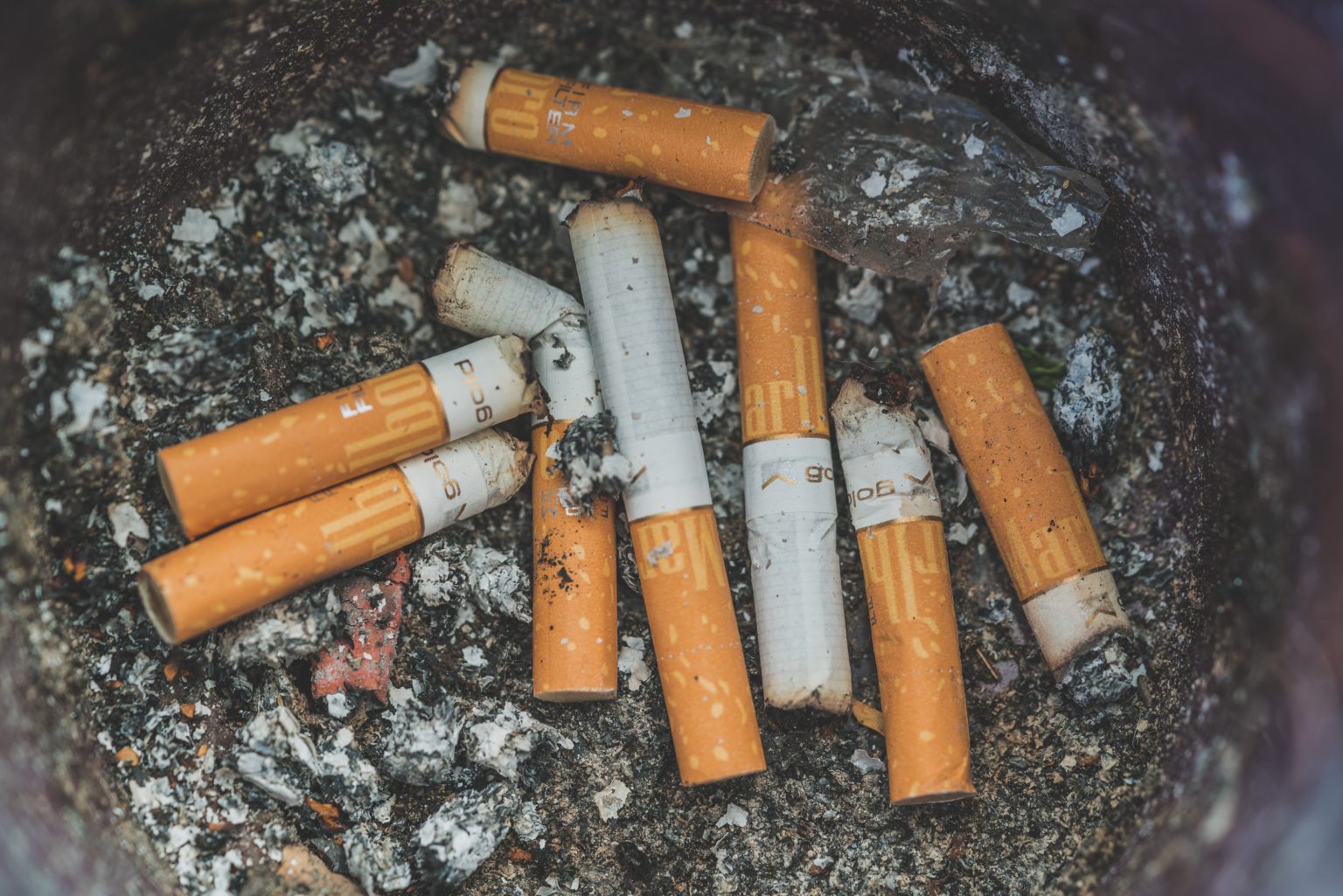 discarded cigarette butts in a bin