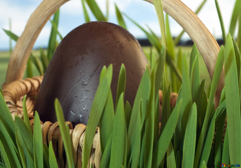 easter egg in an easter basket sat on a bed of artificial grass