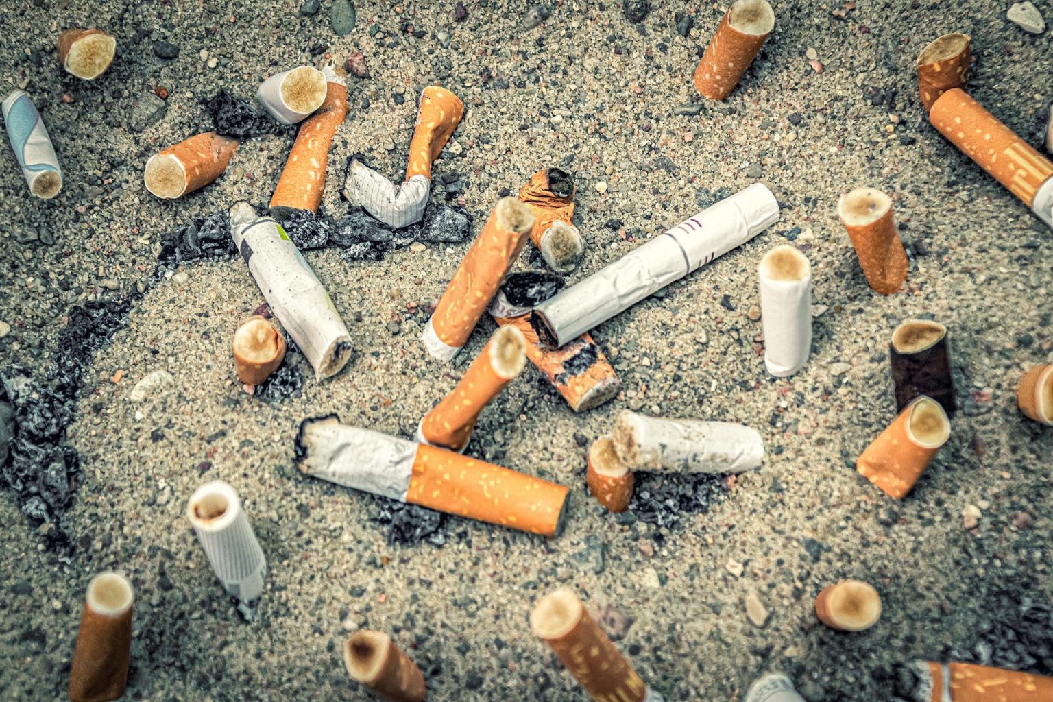 old discarded cigarette butts