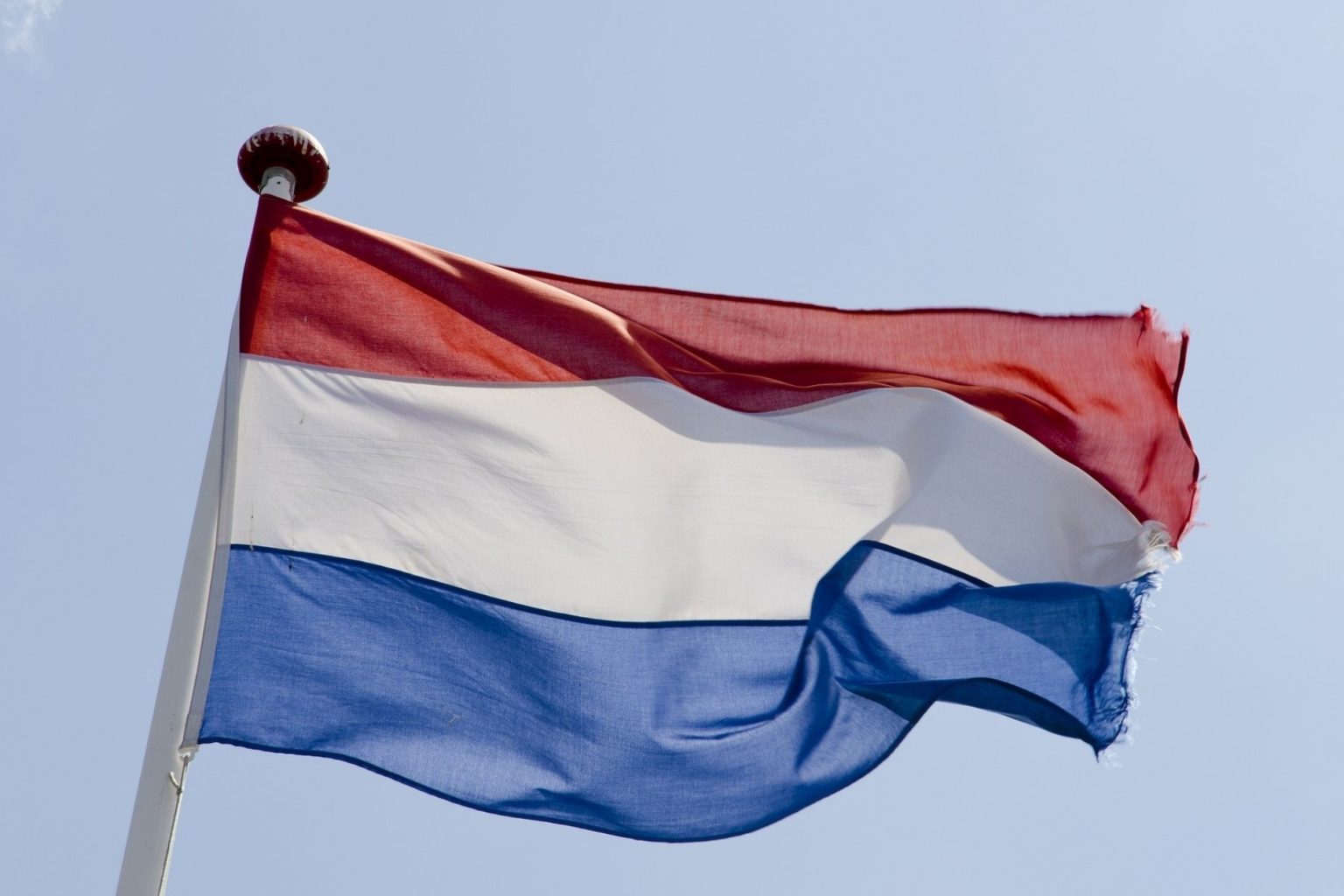 A Dutch flag flapping in the air with a slightly tattered edge celebrating the flavour ban being delayed