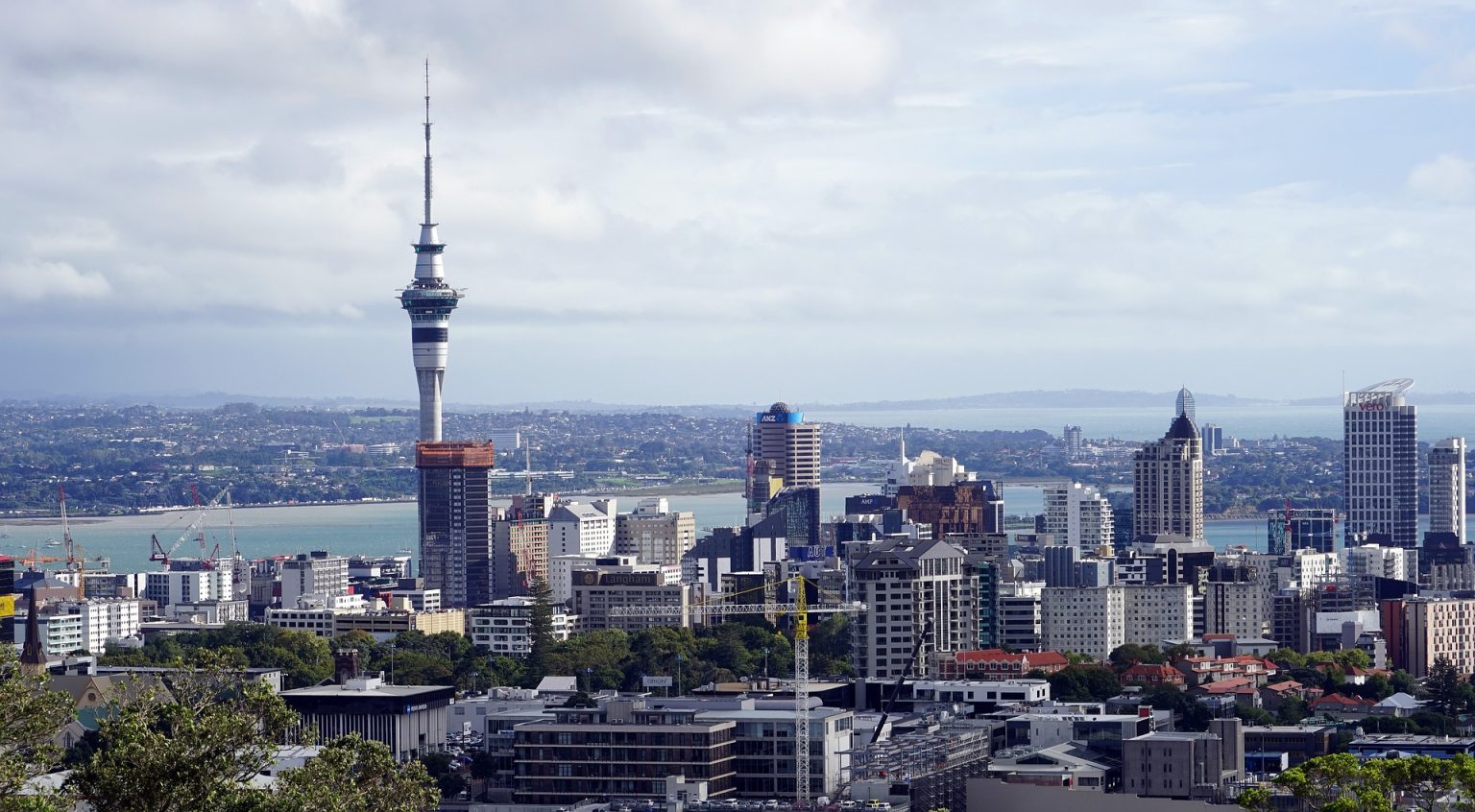 auckland new zealand city skyline