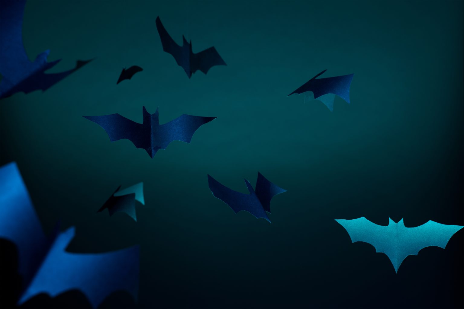 blue paper bats on blank dark blue background