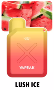 lush ice vapeak vision disposable vape