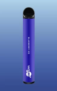 blueberry ice vape disposable pen 